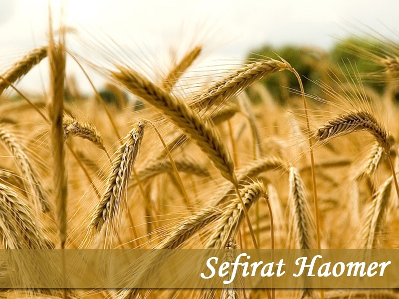 Viene Mashíaj Todo sobre Sefirat HaOmer y la llegada del Mashíaj 8