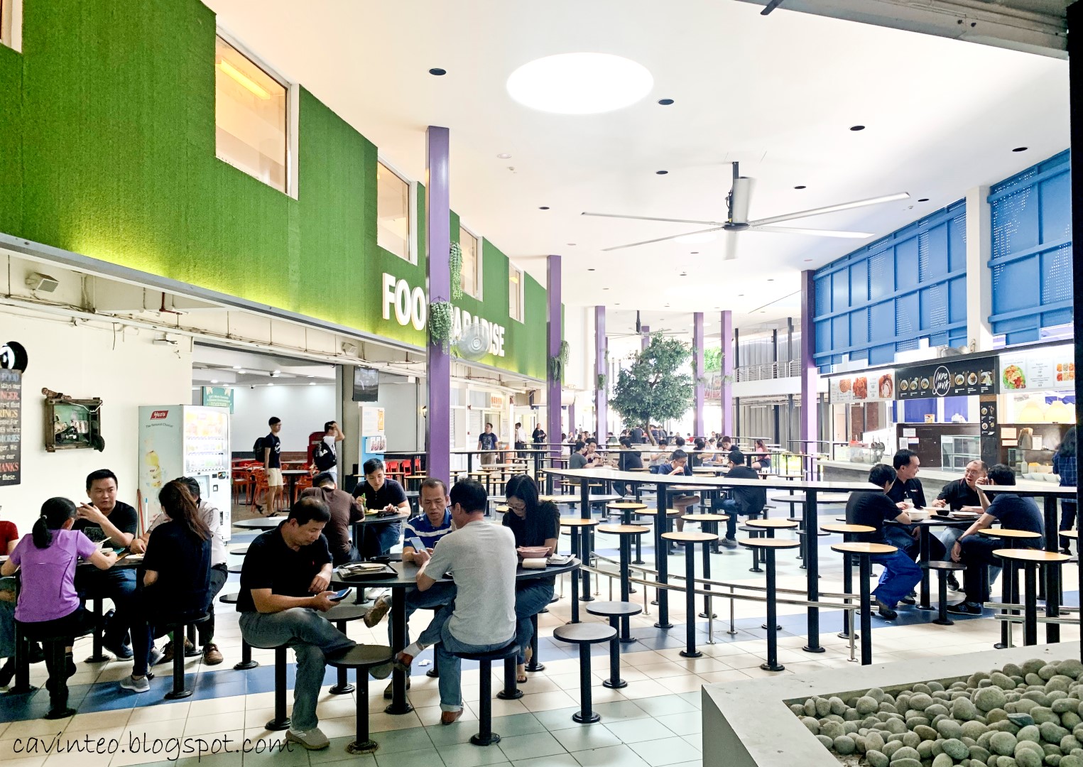 Entree Kibbles Salted Egg Chicken Rice SP Mini Wok in Singapore