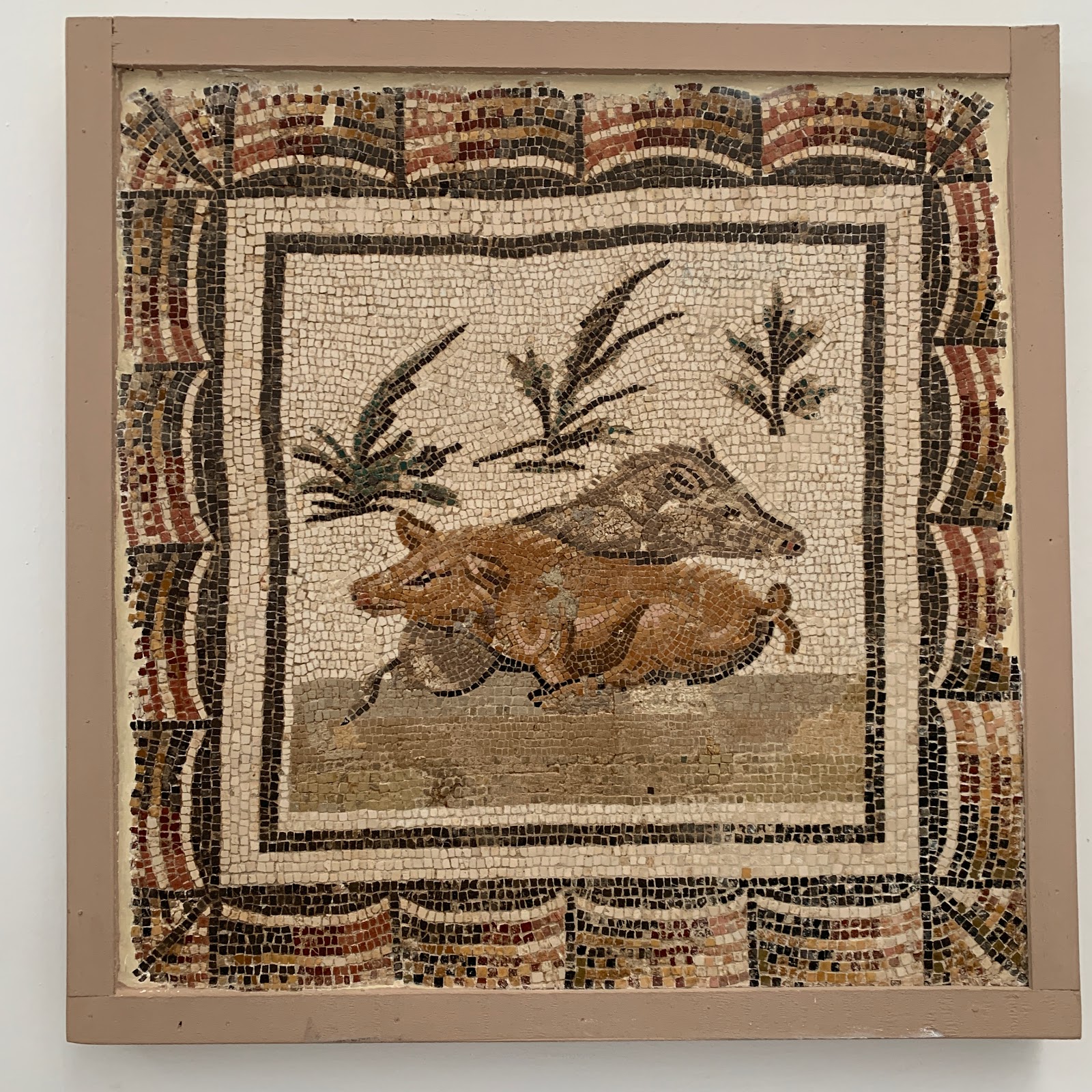 Visita al Museo del Bardo (Túnez) Las cosas del Abuelo O'hara