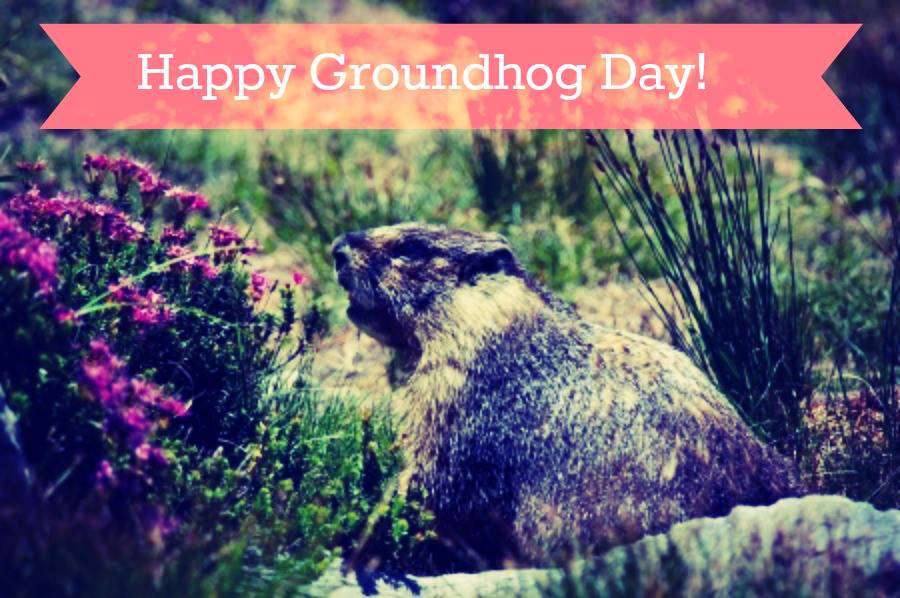Groundhog Day Wishes Pics