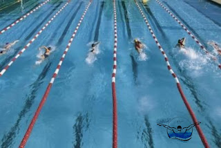 بطولة كأس مصر للسباحة ٢٠٢٠