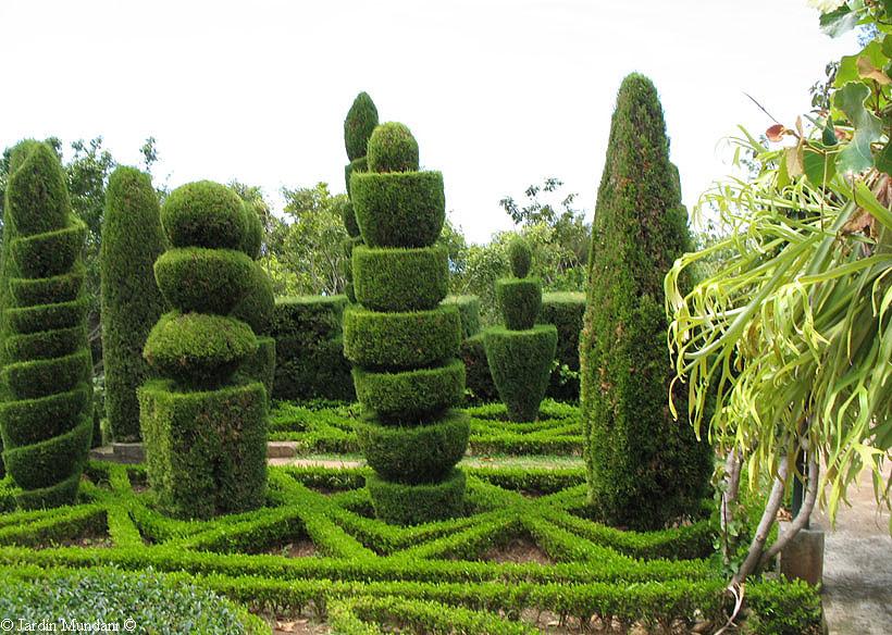 PALABRAS MAGICAS: Jardines de cipreses