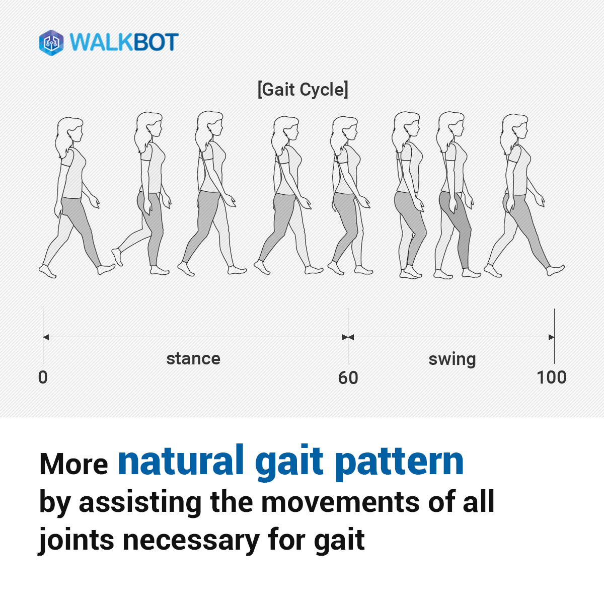 Importance of Ankle joint in gait training