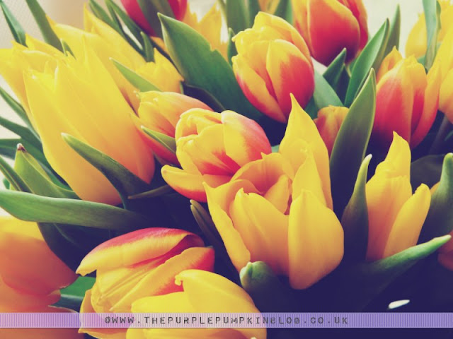 Yellow #Tulips