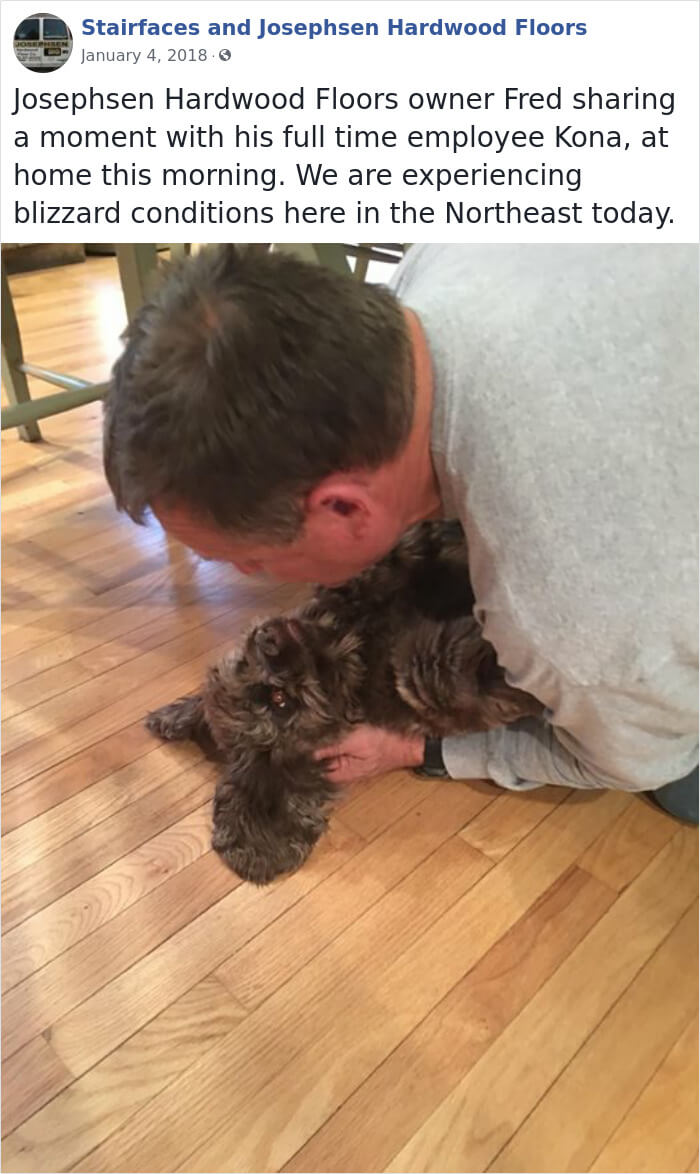 30 Hilarious Dogs That Were The ‘Employees Of The Week’ 30 Hilarious Dogs That Were The ‘Employees Of The Week’