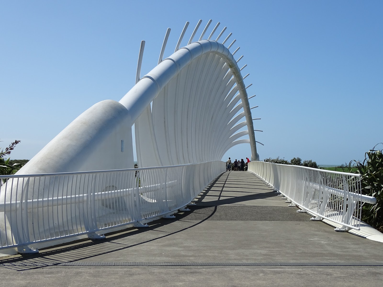 over the hill: Te Rewa Rewa Bridge