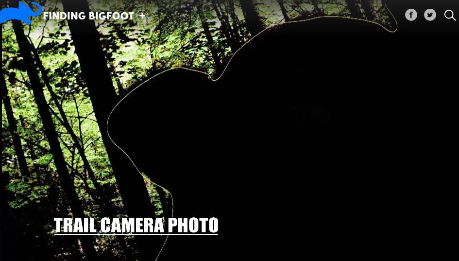 Undebunking Bigfoot Bigfoot Trail Cam Photo from Finding Bigfoot