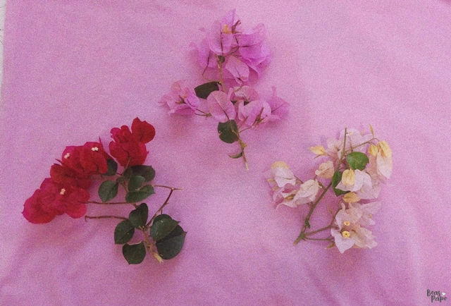 6 ON 6 OUTUBRO l 2018: OUTUBRO ROSA