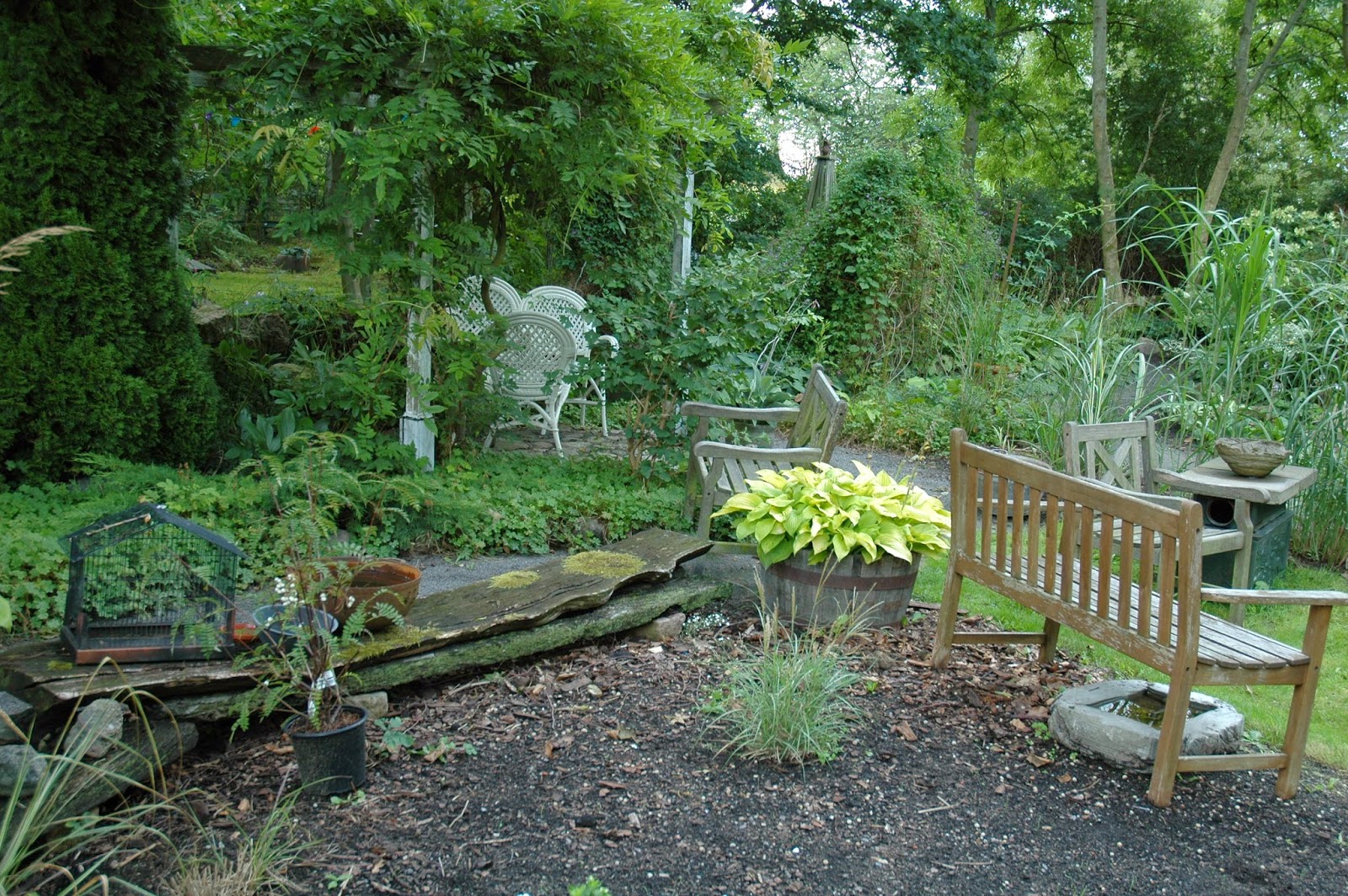 HAVETID Skønne Bornholm i sensommersol.