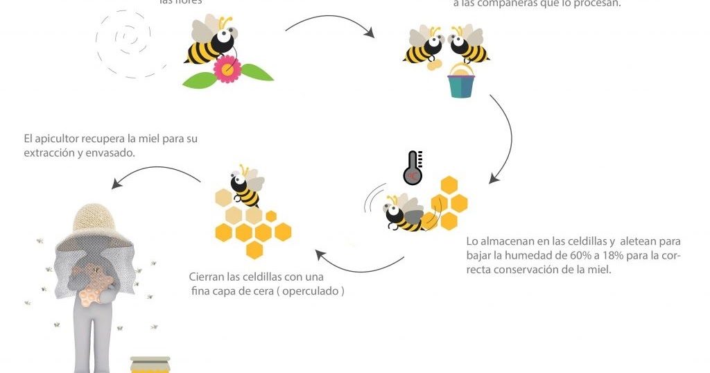 LAS ABEJAS LAS ABEJAS
