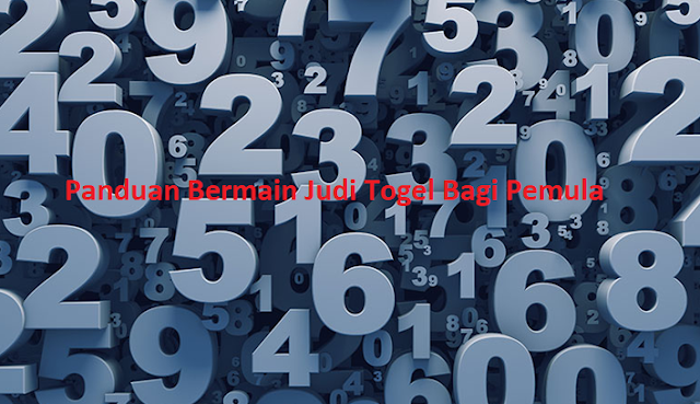 Panduan Bermain Judi Togel Bagi Pemula Yang Menguntungkan - Rahasia