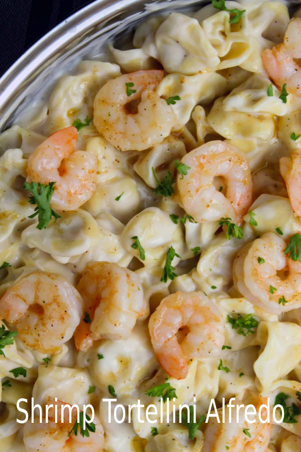 Shrimp Tortellini Alfredo happy cook