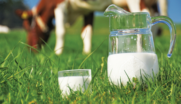Έτσι διαμορφώνεται το νομοσχέδιο που αφορά το γάλα και άλλα αγροτικά προϊόντα