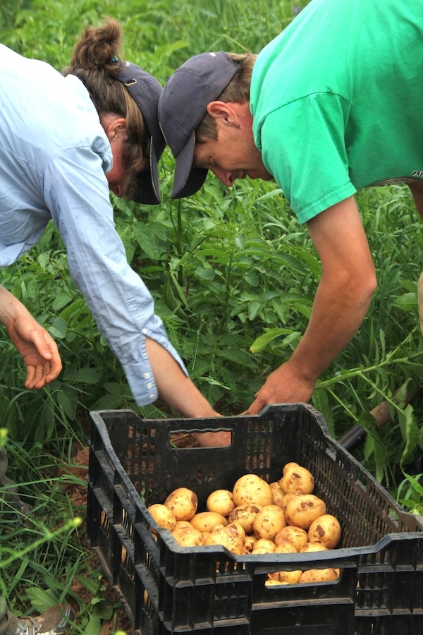 Kitchen by Aubergine Cherry Tomato Galette