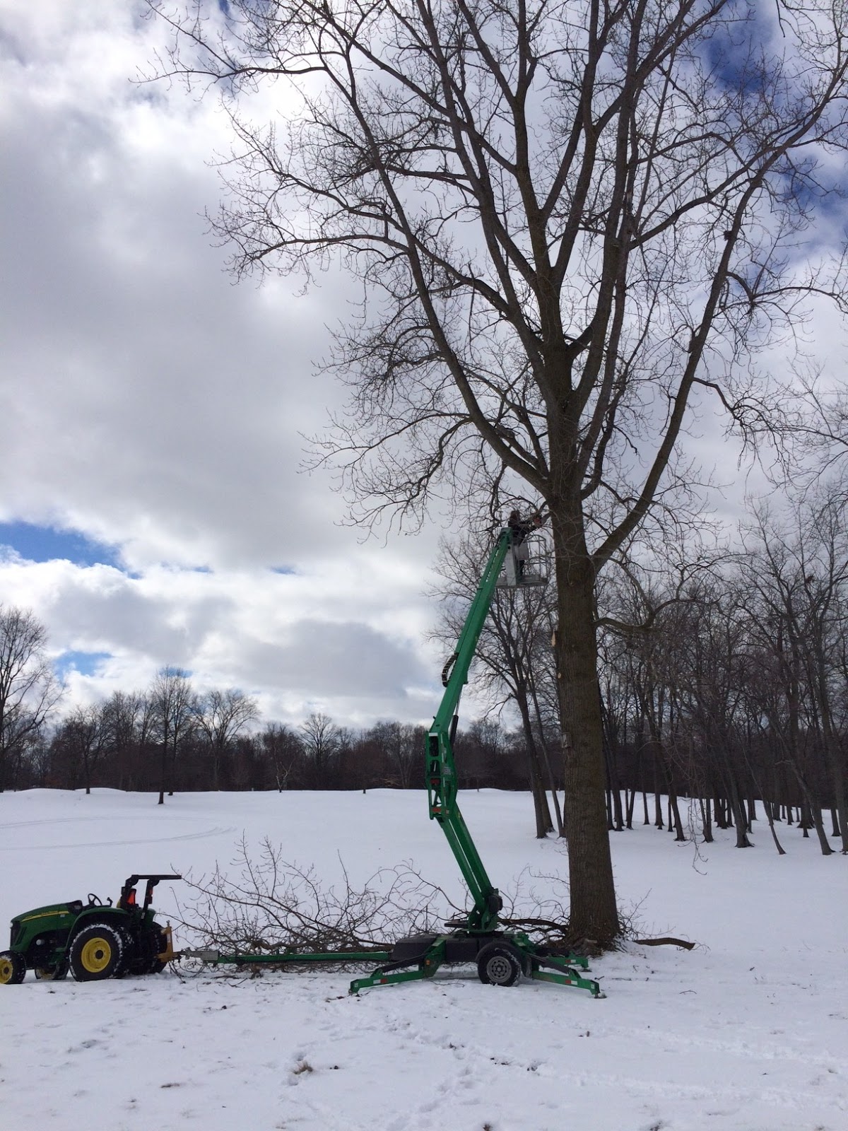 Walnut Creek Country Club Aerial Lift Used For InHouse Tree Pruning