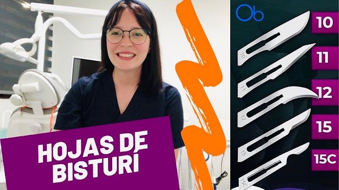 HOJAS DE BUSTURÍ: Conozca sus tipos y usos en Odontología - Dra. Paulina Toledo