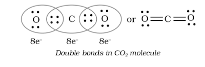 Covalent Bond