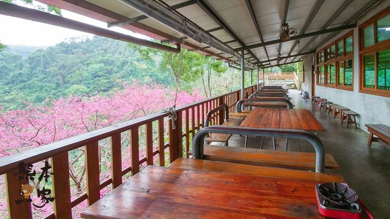 桂竹園景觀餐廳|土城桂竹園|桂竹園|土城櫻花|土城賞櫻