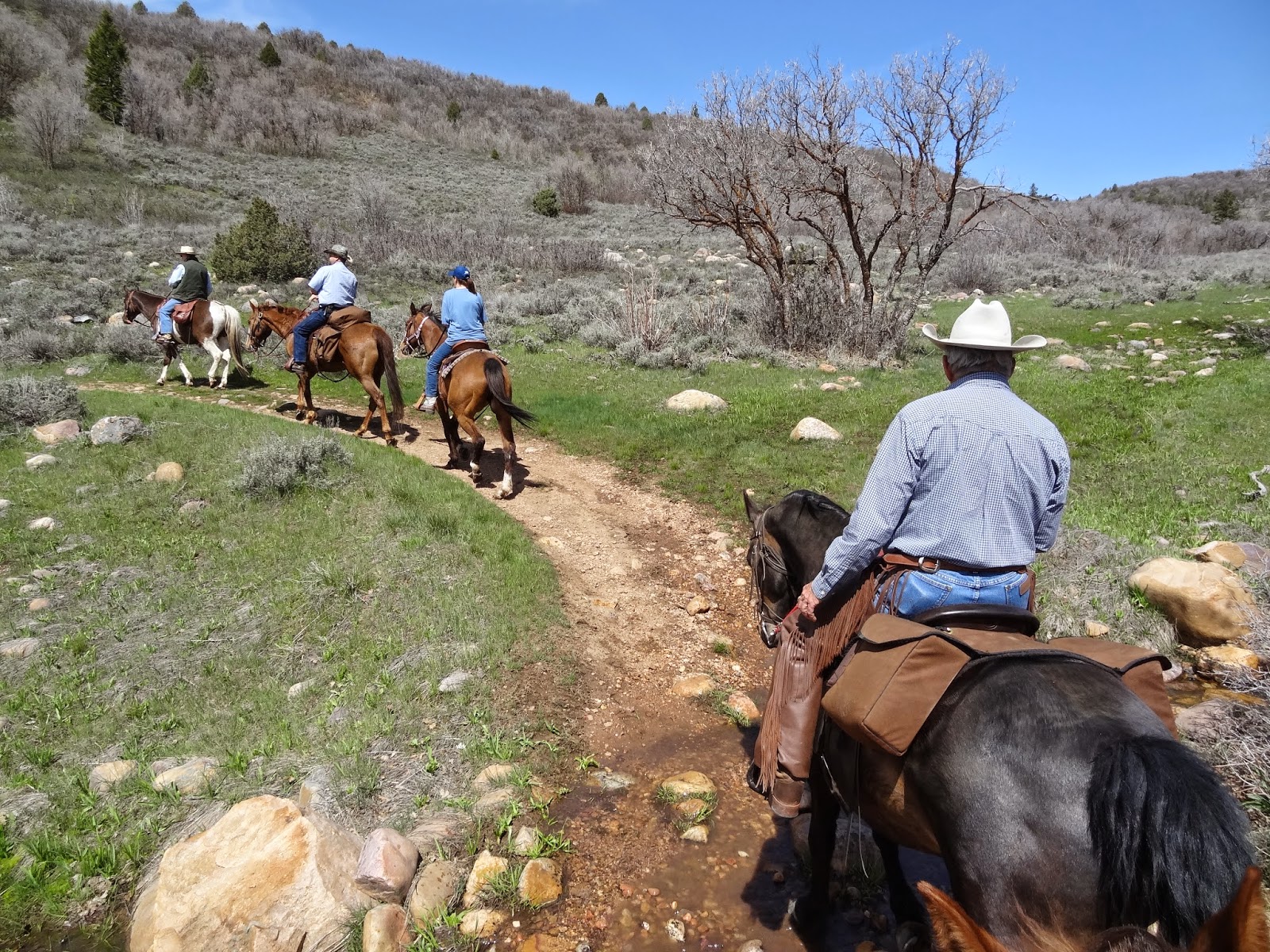 Dream Packer Trail Adventures Cobble Creek, South Fork, Utah