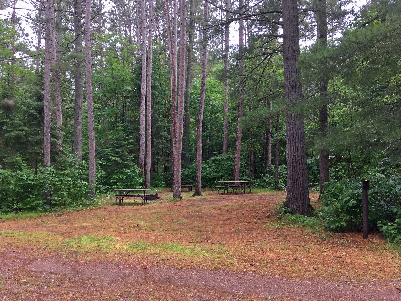 The Campsites Samuel de Champlain Ontario Provincial Park, site 121