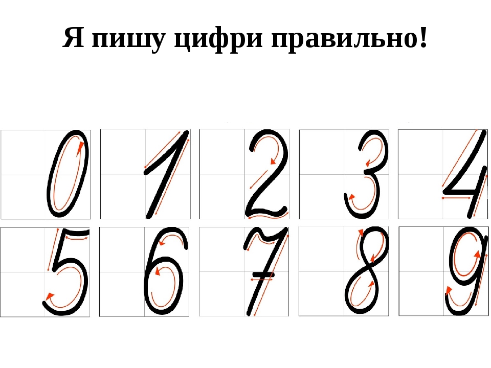 Правильное написание цифр для 1 класса в клеточке картинки