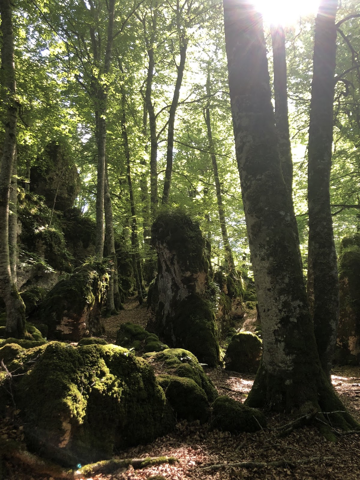HAMAIKA MENDI VÍA FERRATA DE LARRAONA,BOSQUE ENCANTADO Y CUEVA DE LOS
