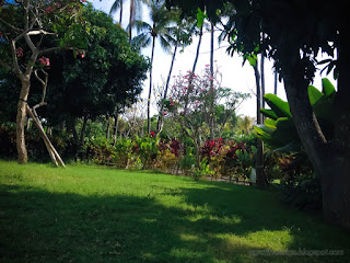 Warm Sunshine And Fresh Public Garden Yard Scenery At The Village Tangguwisia North Bali Indonesia