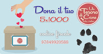 DONA IL TUO 5x1000