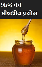 Benefits of Honey in Hindi, शहद का उपयोग , shahad ke labh or fayde, शहद के लाभ, शहद का औषधीय प्रयोग, शहद के फायदे, medicinal use of honey in hindi, 