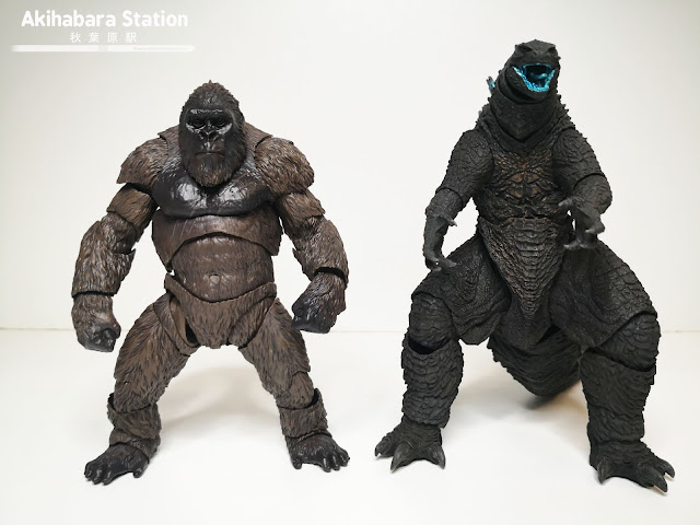 Review del S.H. MonsterArts Godzilla VS Kong (2021) - Tamashii Nations
