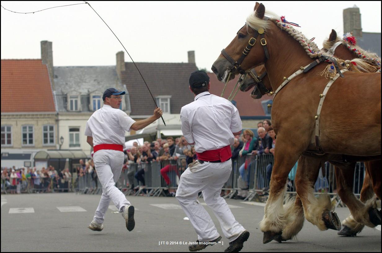 le-juste-imaginum-hondschoote-la-karyole-feest-2014