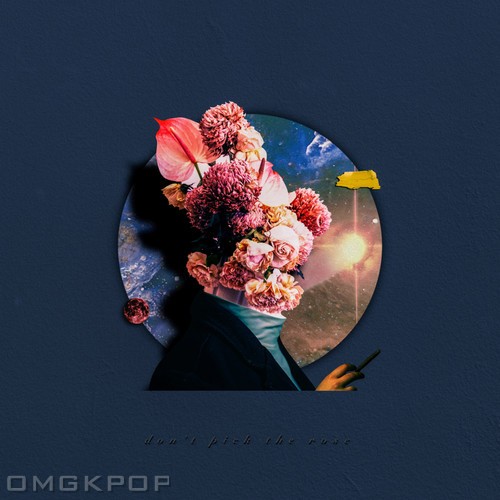 WoodyRose – Don’t Pick The Rose – Single