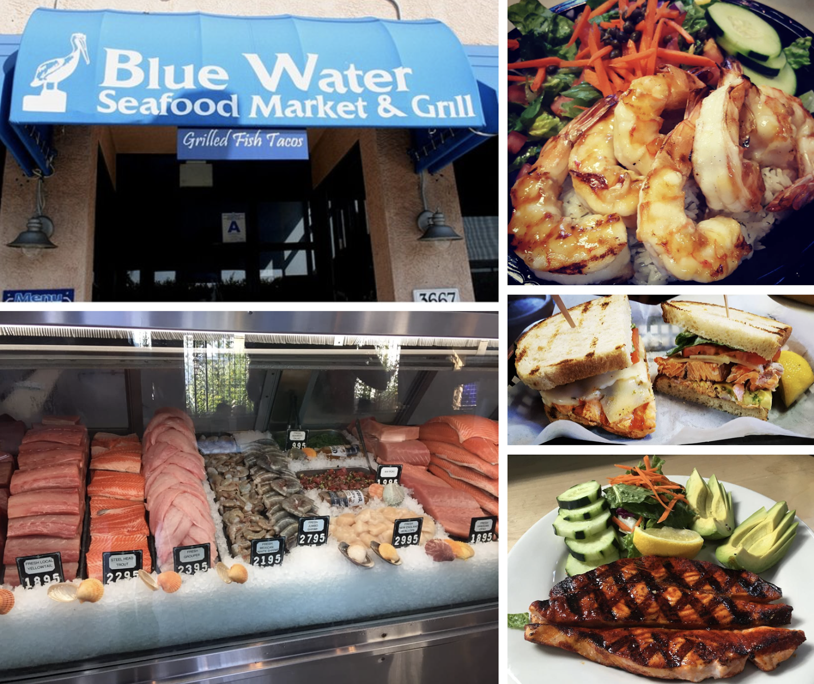 SanDiegoVille Blue Water Seafood Market & Grill To Open