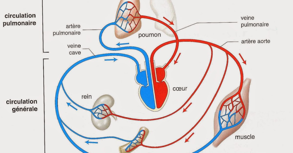 sciences pour tous et tous pour sciences sciences pour tous et tous pour sciences