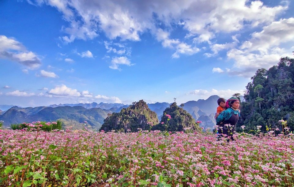 10 reasons to choose a homestay in Ha Giang