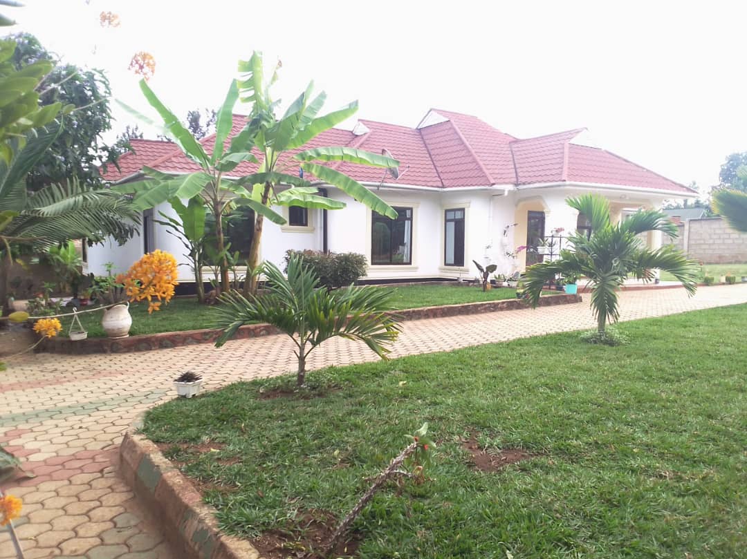 Rent house in Tanzania Arusha rent homes, Houses for sale,vacation