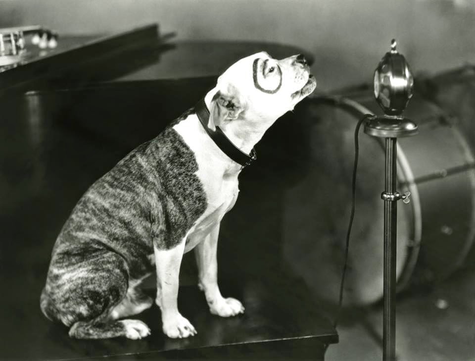 Thelma Todd Pete The Pup Photos
