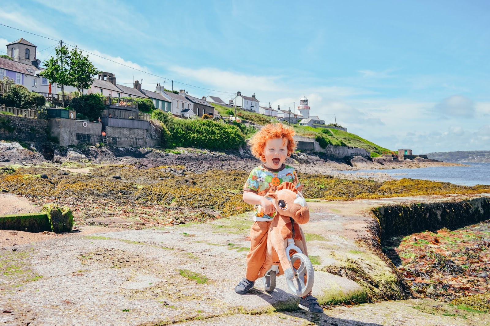 my buddy balance bike