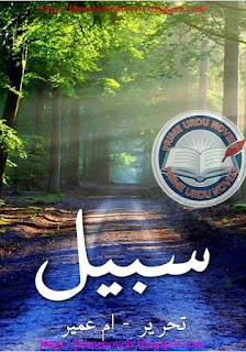 Sabeel novel by Umm Umayr Episode 2
