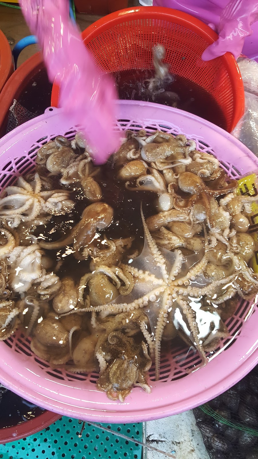 \uc548\uc804\ud55c\ub180\uc774\ud130 \u2665\uc18c\ub798\ud3ec\uad6c\u2665