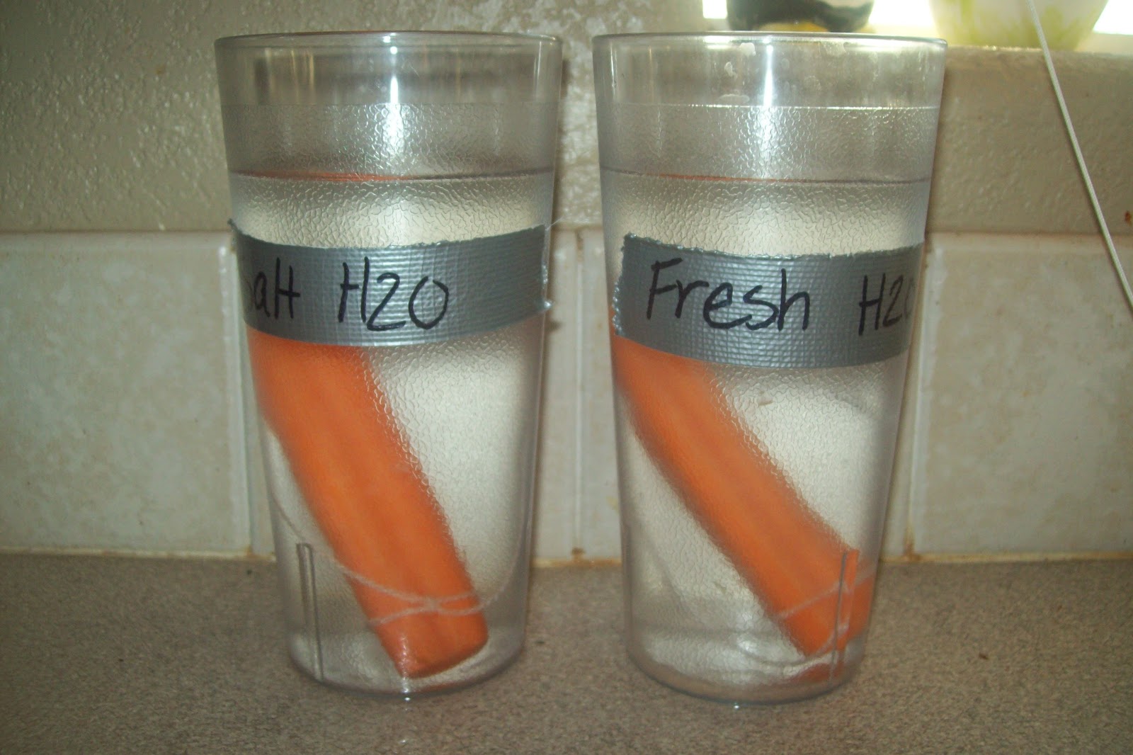 Biology Carrot Lab