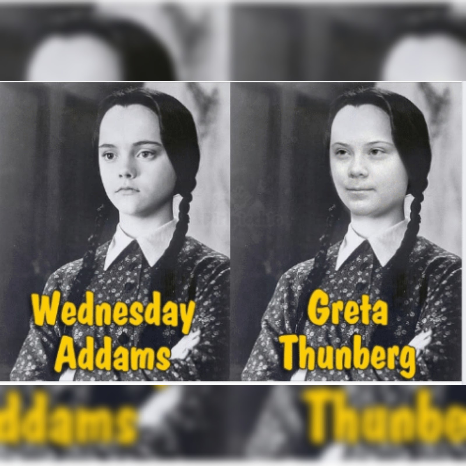 Greta Thunberg Memes - Greta Thunberg meme - Greta Thunberg Dank Memes - .....