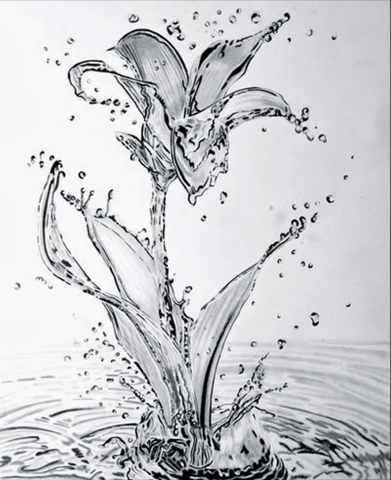Featured image of post Pencil Realistic Water Lily Drawing / Prismacolor premier pencils used to draw this flower.