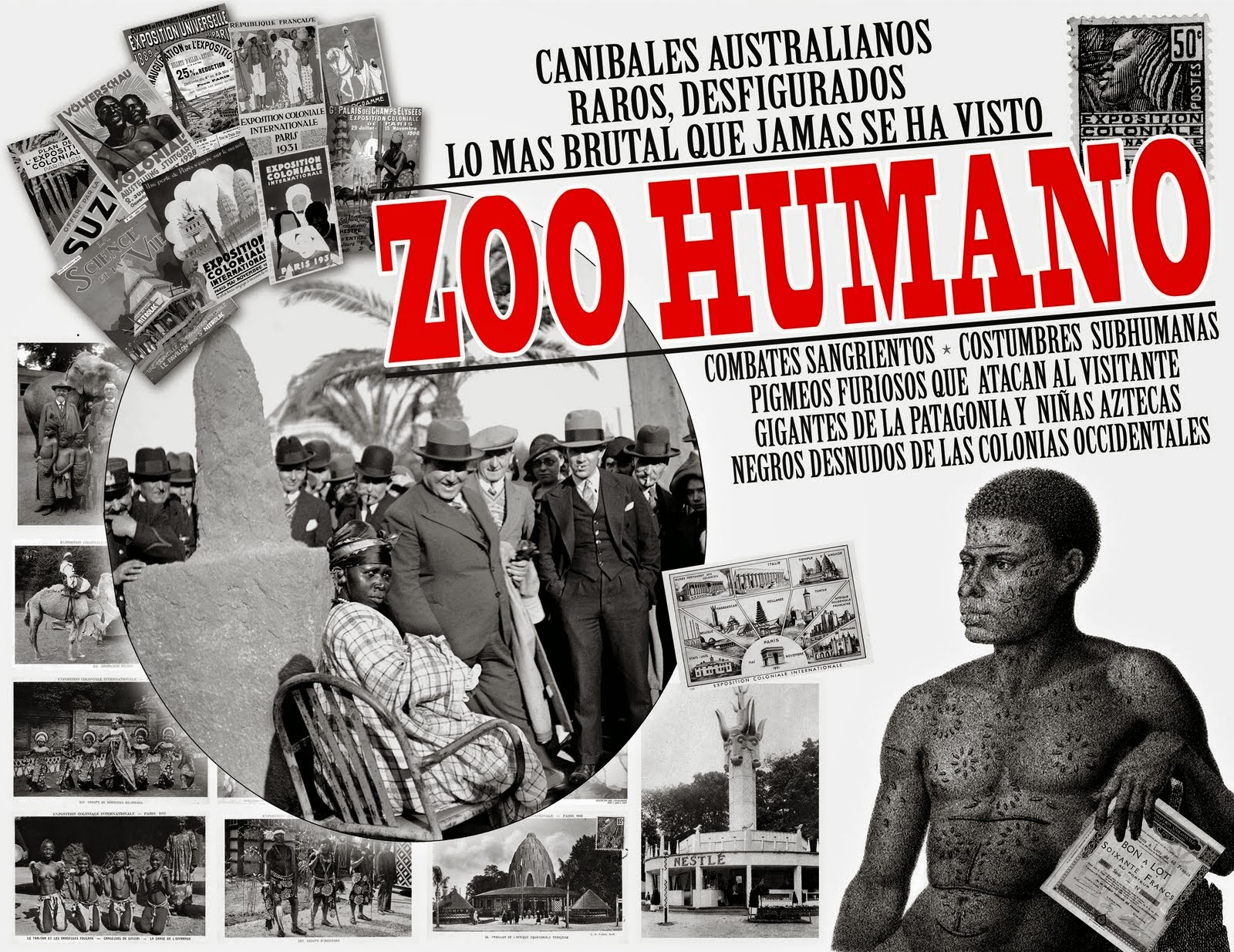 Arte Sauvages Au Coeur Des Zoos Humains Malomil: Zoos humanos.