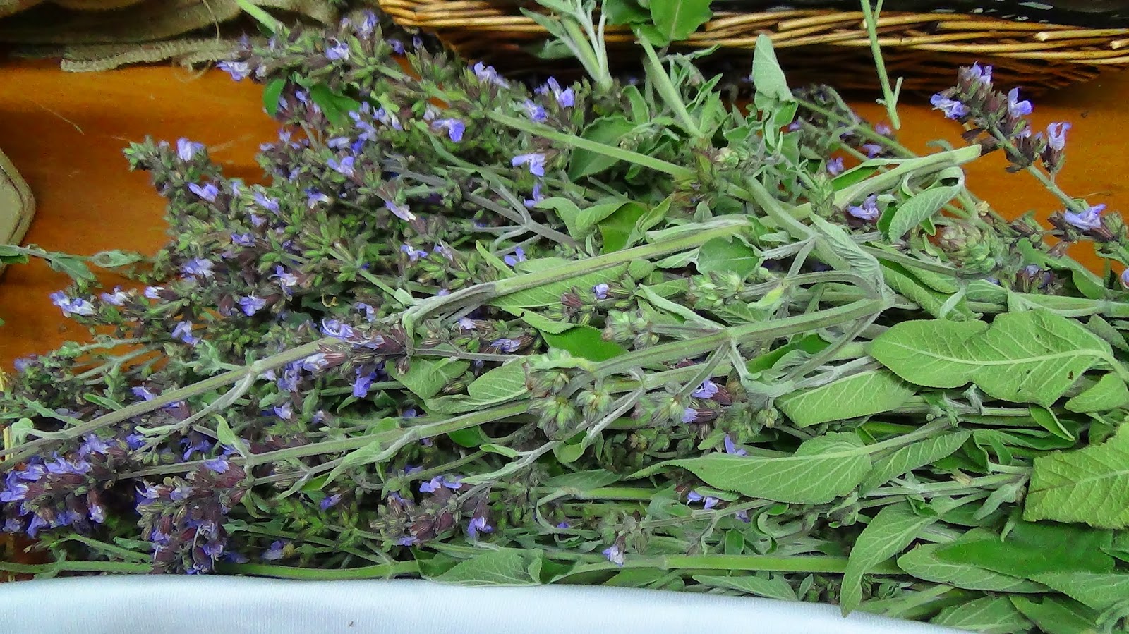 May.it's time for Sage Harvest!