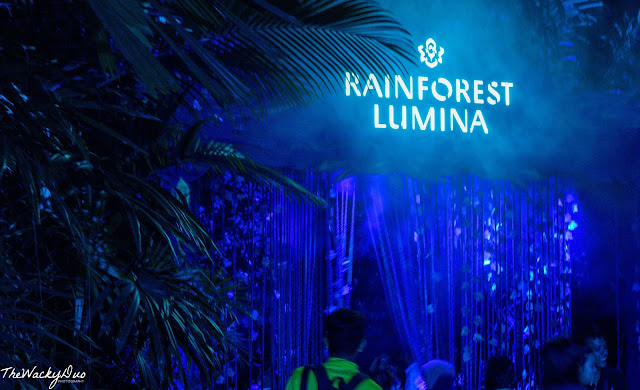 Rainforest Lumina @ Singapore Zoo : Full Review + Guide