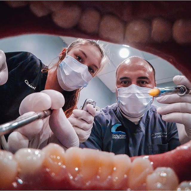 Top 10 best Universities for Dentistry around the world