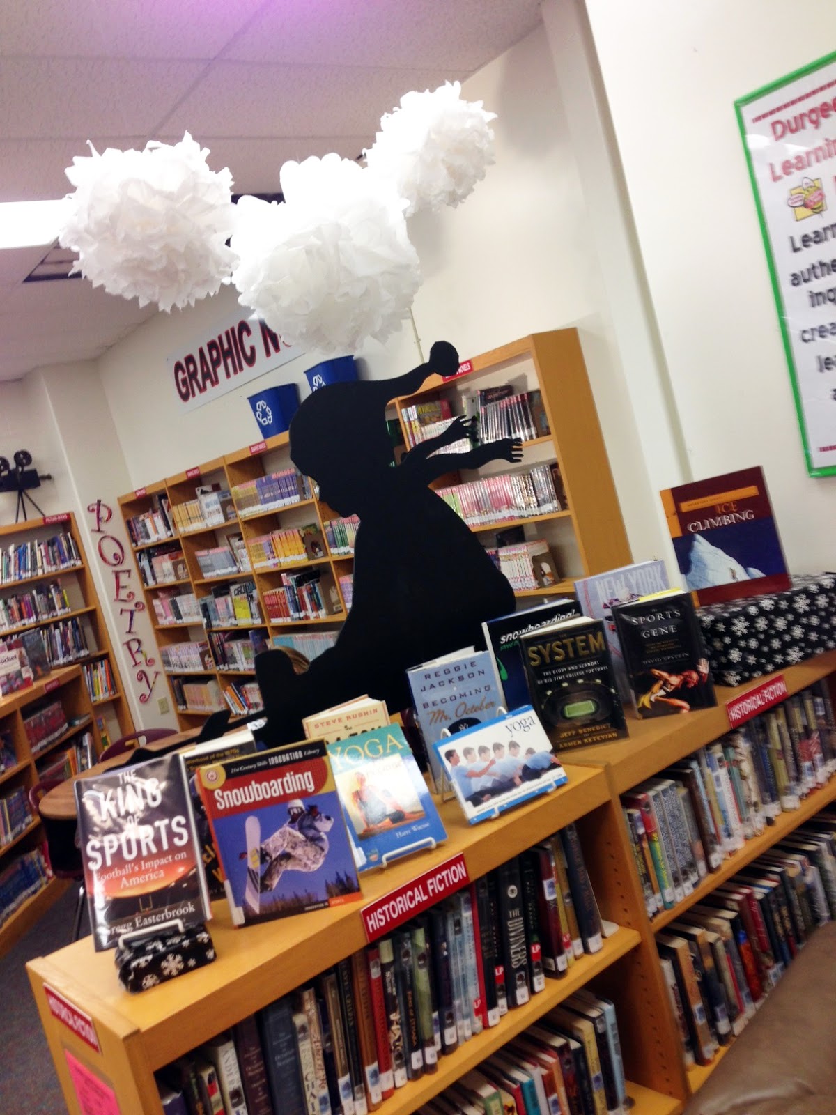 January Bulletin Boards & Book Displays