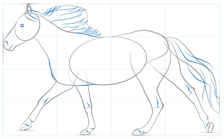 Como desenhar um cavalo [2022] Passo a passo - Desenhos Para Desenhar