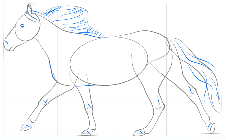 Como desenhar uma cabeça de cavalo facilmente passo a passo